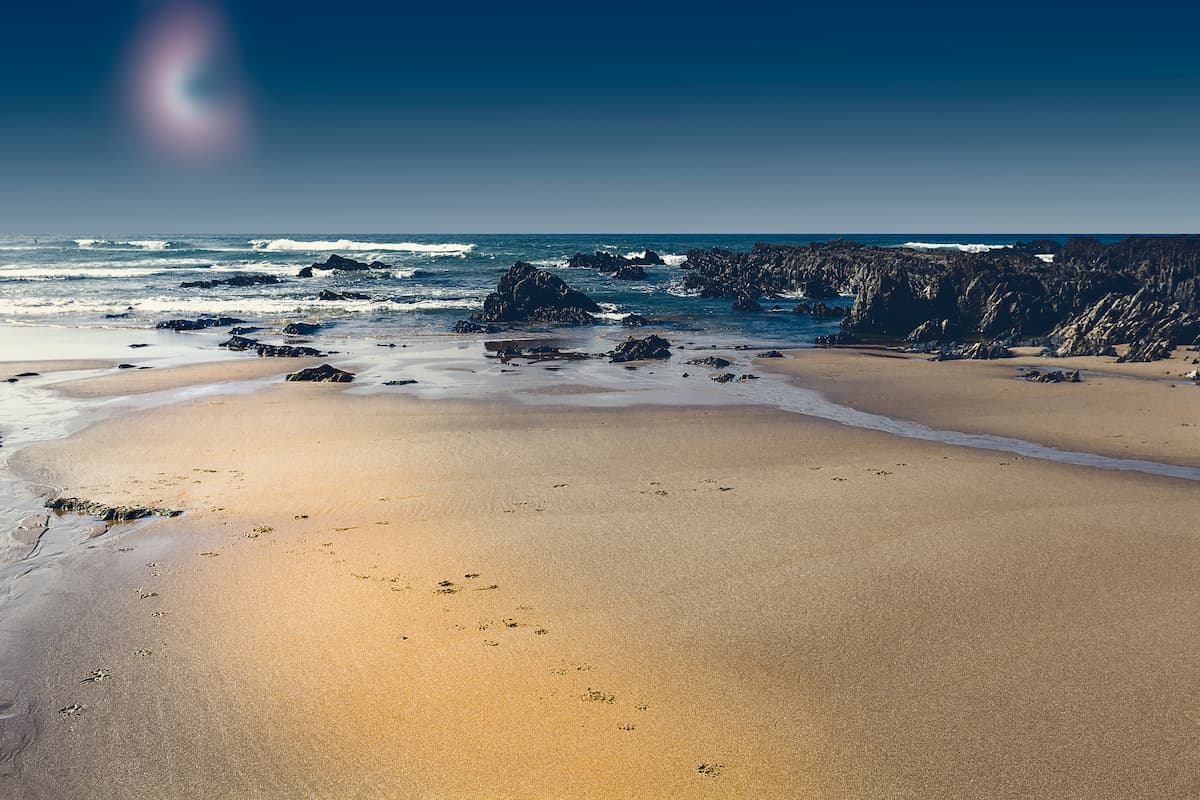 Seguimos creciendo en este 2024